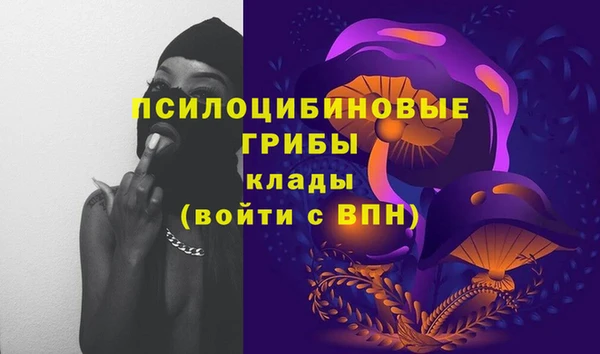 гидропоника Заводоуковск