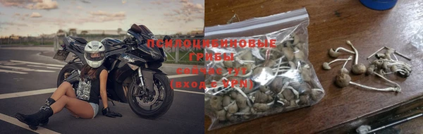 гидропоника Заводоуковск