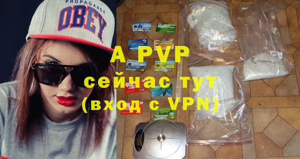 ГАЛЛЮЦИНОГЕННЫЕ ГРИБЫ Заволжск