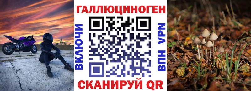 Купить  Игра  Галлюциногенные грибы GOLDEN TEACHER 